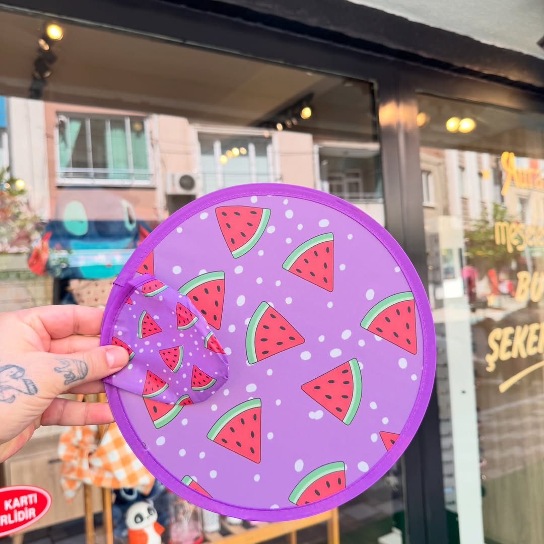 Foldable Nylon Hand Fan & Flying Disc