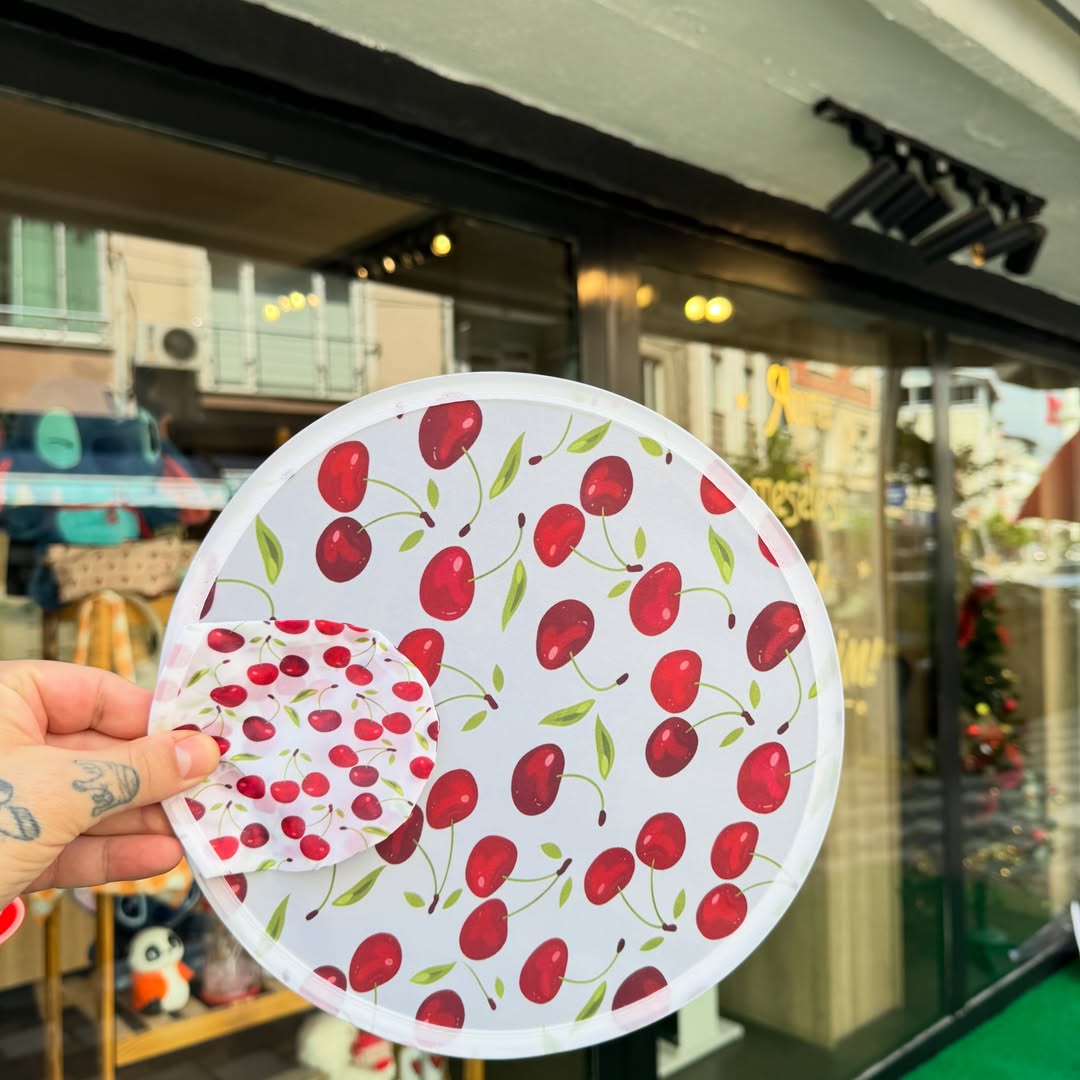 Foldable Nylon Hand Fan & Flying Disc