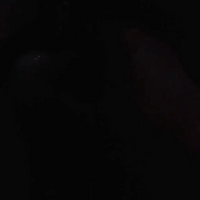 PurseLamp